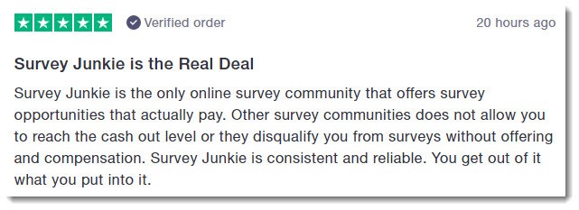 Survey junkie review uk