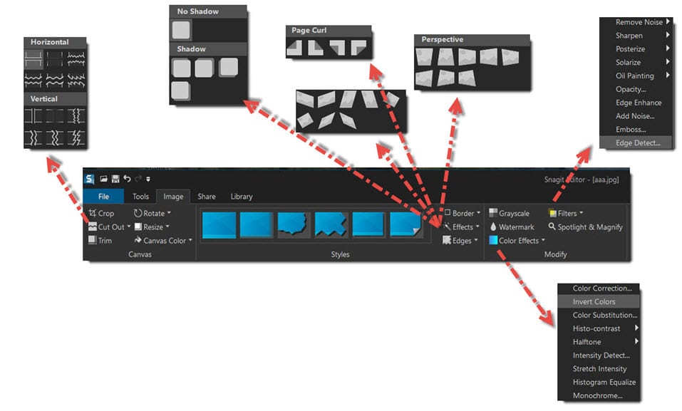 purpose of snagit tool