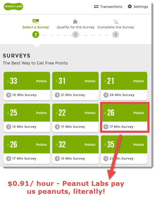 Peanut Labs Surveys