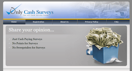online cash surveys scam