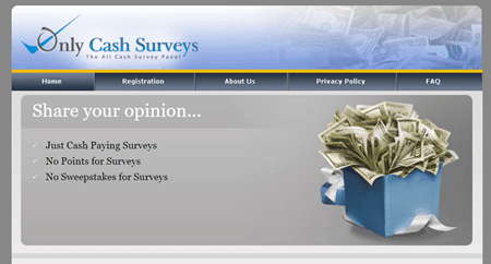 Is Only Cash Surveys a Scam? Be Careful With This One ...