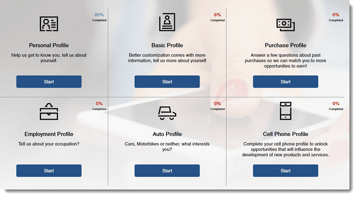 profile questionnaire