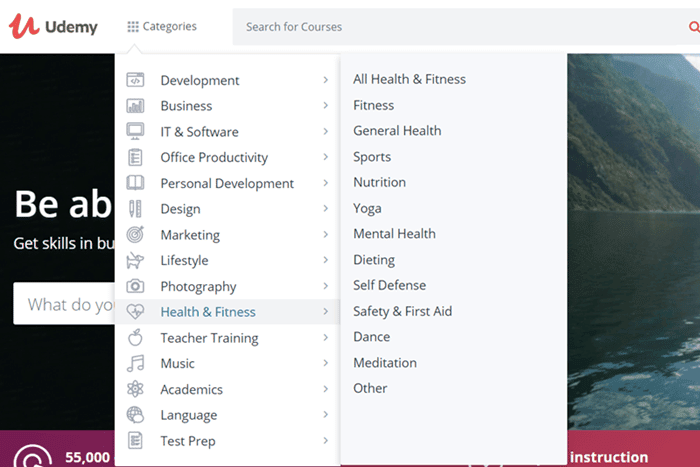 Udemy categories