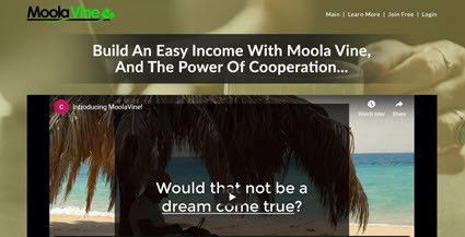 Moola Vine review