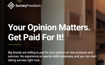 Survey Freedom review