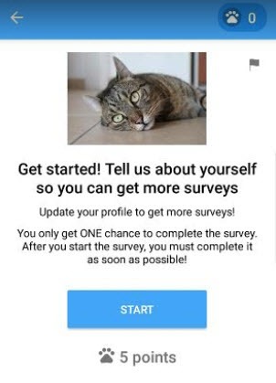 profile survey