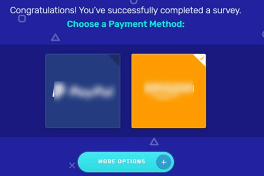 surveytime payment