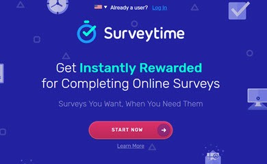 surveytime review