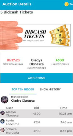 bidcash auction