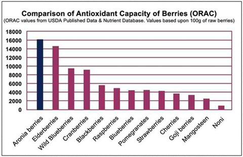 antioxidant capacity of berries