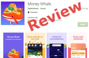money whale app review