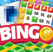 money bingo review 