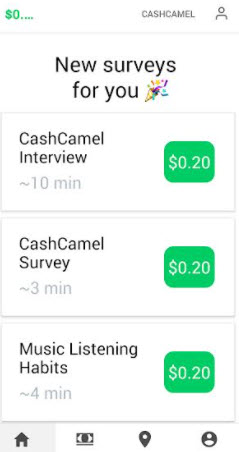cashcamel surveys
