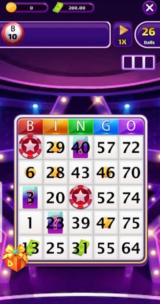 bingo nights gameplay