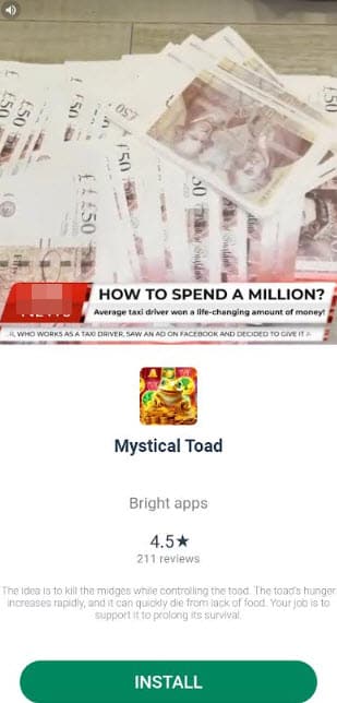 mystical toad advert