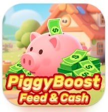 piggyboost review