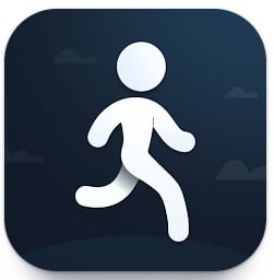 Wiselife review